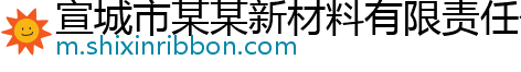 宣城市某某新材料有限责任公司